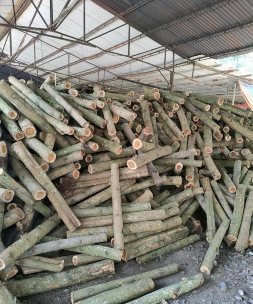 Viên nén gỗ, mùn cưa - Pallet Gỗ NCC Đồng Nai - Công Ty TNHH Thương Mại Dịch Vụ NCC Đồng Nai